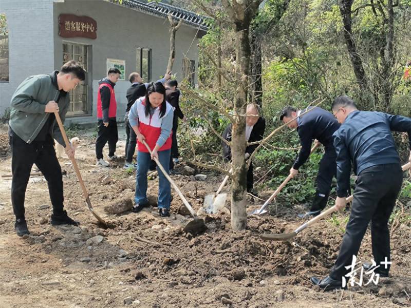 阳山县委领航生态建设 举办植树活动添绿意盎然