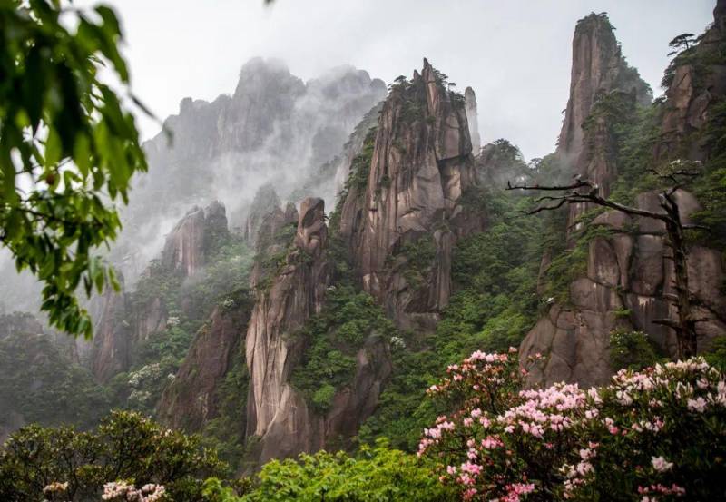 中国旅游摄影网推荐，三清山至美杜鹃，望仙谷江岭梯田风情录