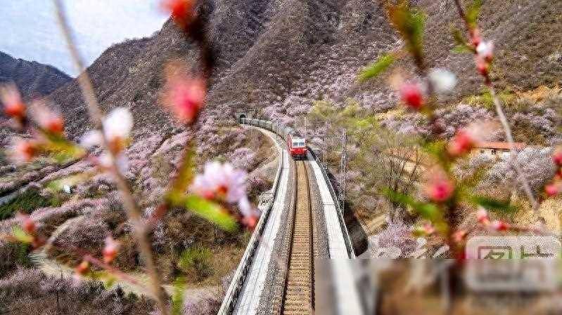 【平凉新闻】平凉至春之约，驶向繁花似锦的列车旅程