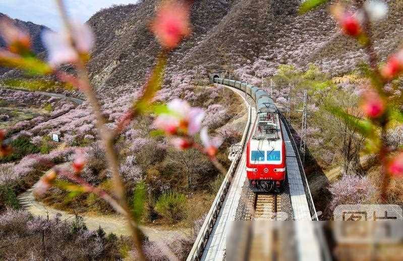 【平凉新闻】平凉至春之约，驶向繁花似锦的列车旅程