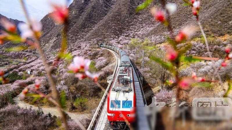 【平凉新闻】平凉至春之约，驶向繁花似锦的列车旅程