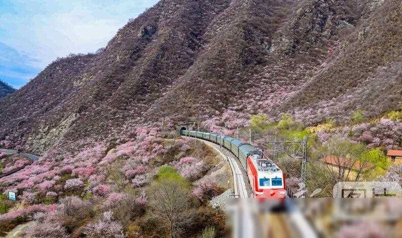 【平凉新闻】平凉至春之约，驶向繁花似锦的列车旅程