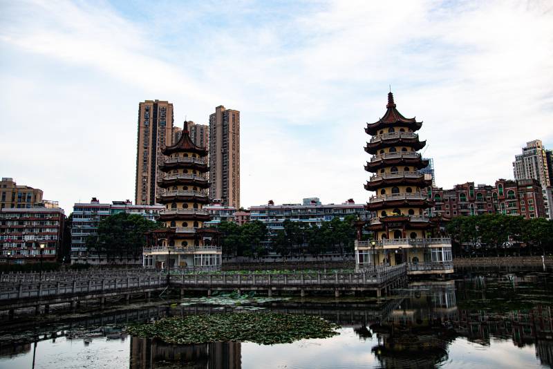 遇见宝岛，台湾青年武汉的温馨归航