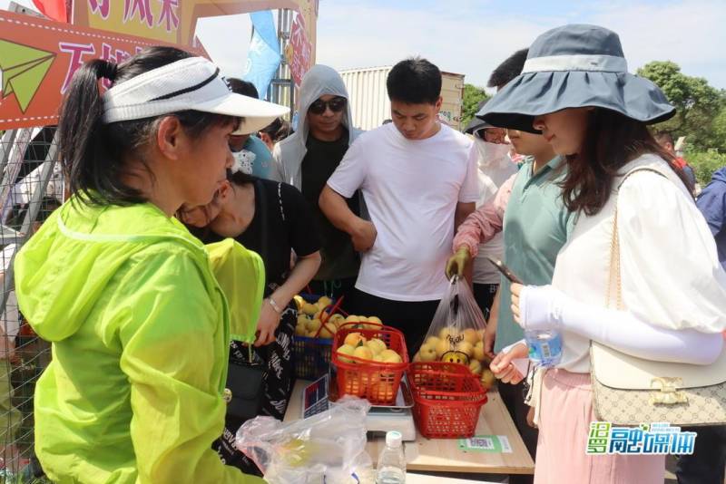 桃子夏乐汁的微博，夏熟黄桃，甜蜜邀约，屈子祠镇品鉴盛宴！