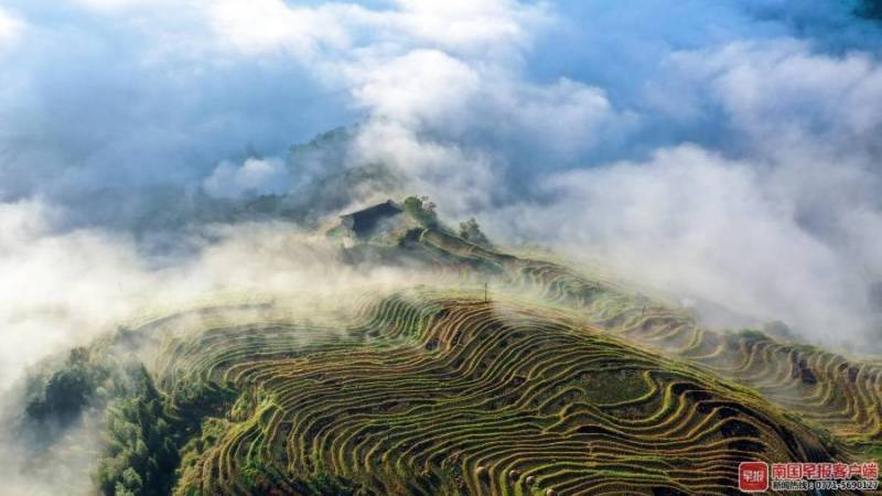 靓图精选│初秋广西，梦幻云海美如画→