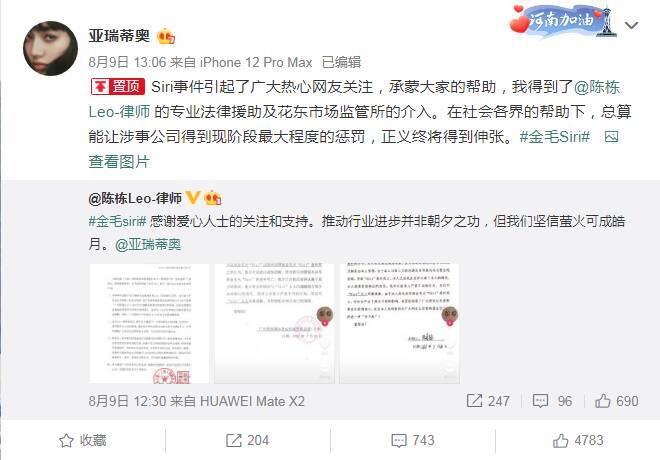 金毛Siri事件和解，托运公司捐狗粮公开道歉