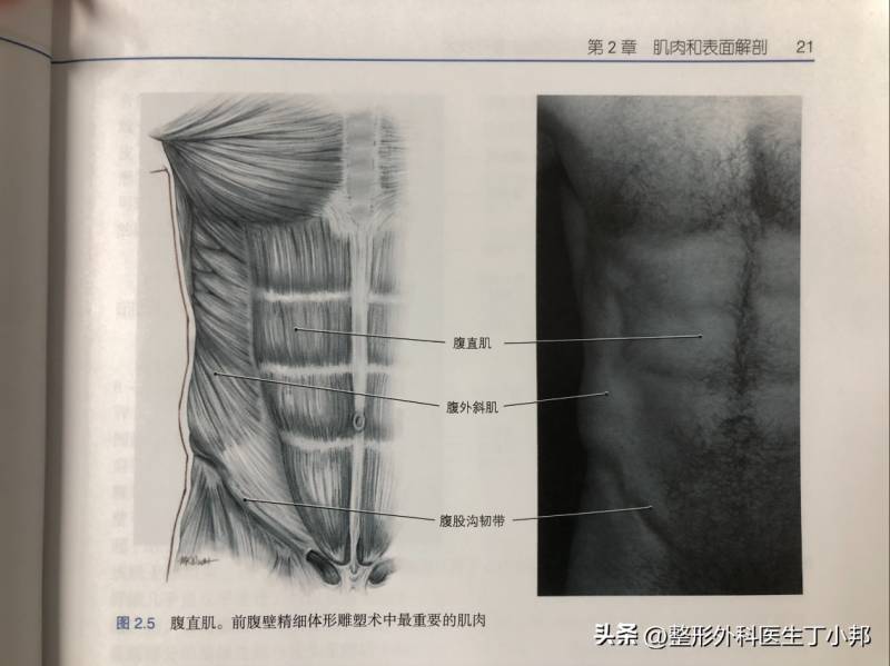 上海吸脂医生合集测评，专业医师技术与案例分享