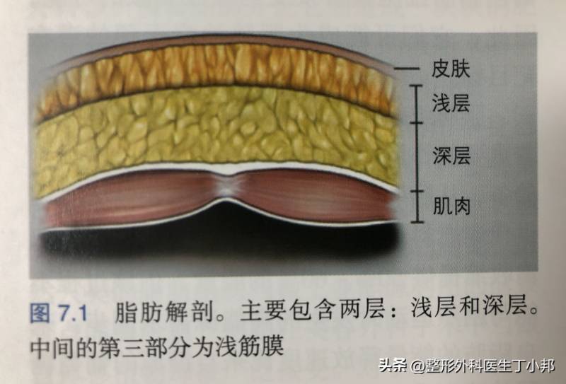 上海吸脂医生合集测评，专业医师技术与案例分享