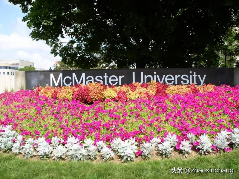 全球排名85的麦克马斯特大学，五年热度攀升