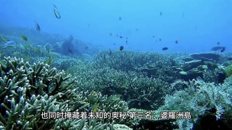 全球十大巨型岛屿，第一面积达228万平方公里