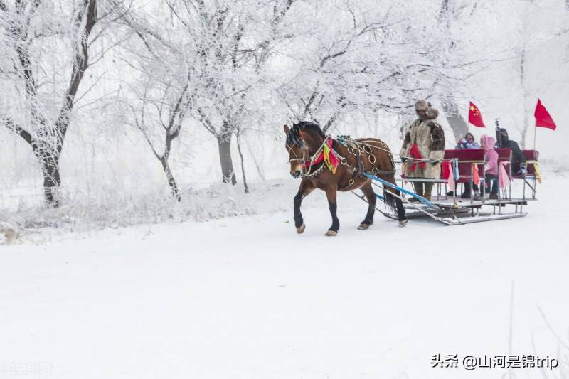 国内冬季看雪，这五个地方必游，美到令人心动！