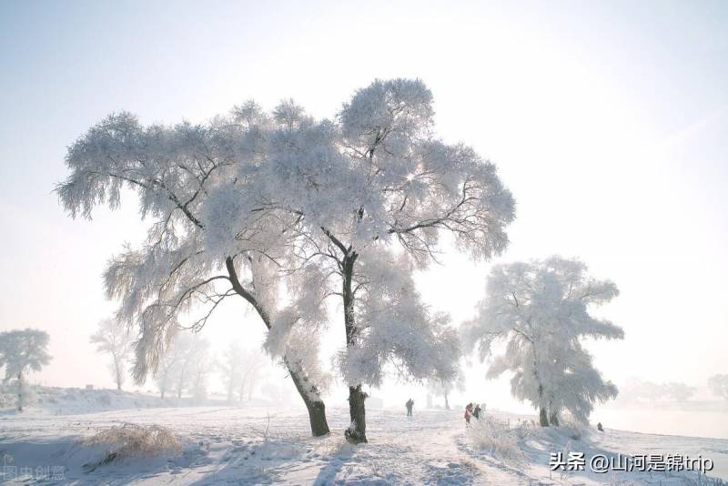 国内冬季看雪，这五个地方必游，美到令人心动！