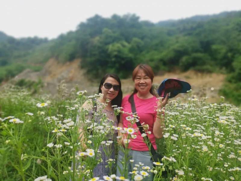 一到夏天就惦记的杨梅汤，李一红一年一度的味蕾盛宴 