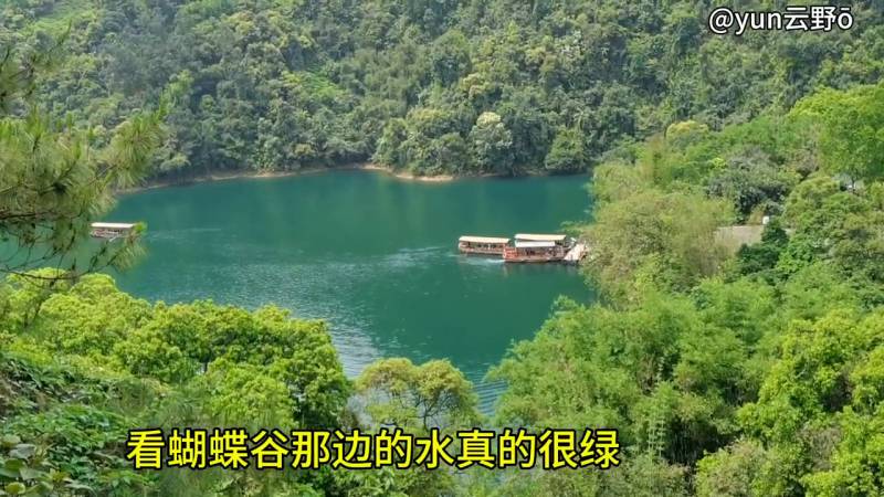 广州去鼎湖山怎么去，游玩攻略一览无余