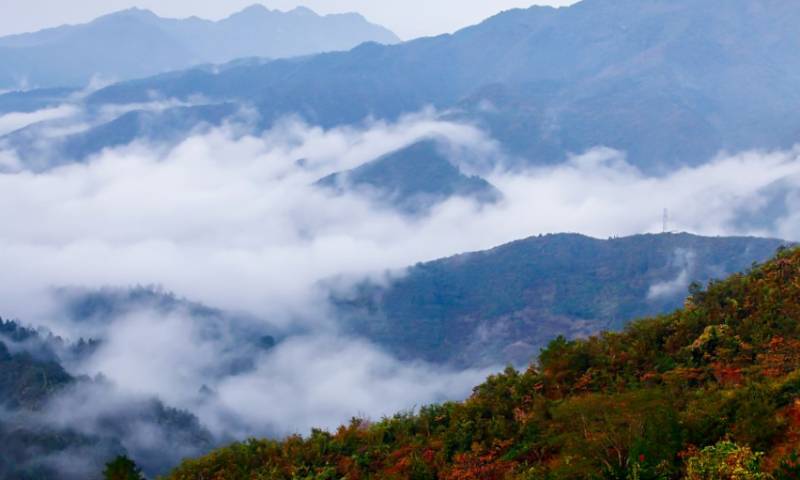 女孩不测酿成一寸小人，迷失密林深处，村民亦难寻归途