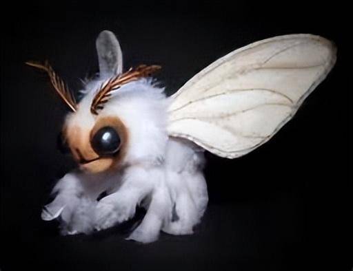 贵妇犬蛾，似玩偶的罕见昆虫美景