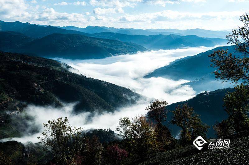 沈嘉彦真的是人间理想啊——如梦无量山，诗意樱花谷美人美景相得益彰