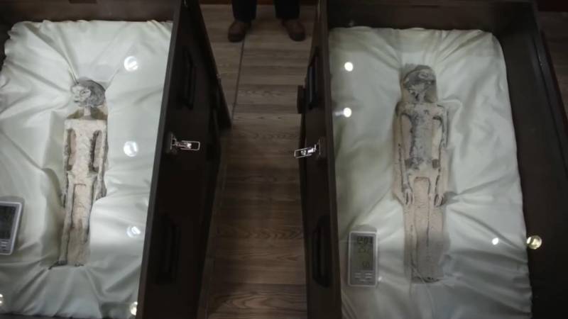 墨西哥公布，两具疑似外星人遗骸，国会证据曝光
