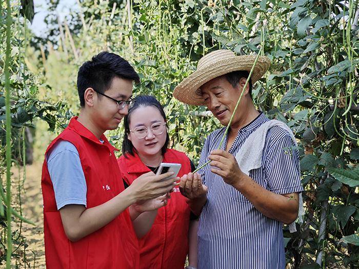 智富惠网福州站微博，助力农业，共筑增收之路