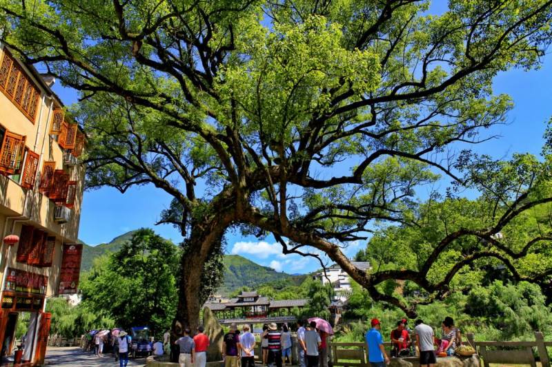 【福建壽甯】西浦村，甯靜秀美休閑鄕村景區