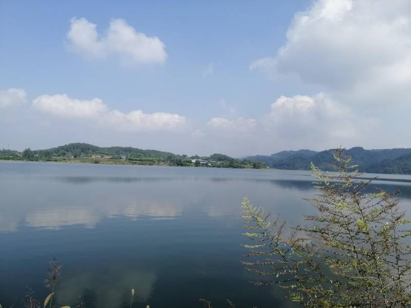 西蜀森林酒店，早春“林間秘境”挑戰，險阻重重，終獲成功！ 