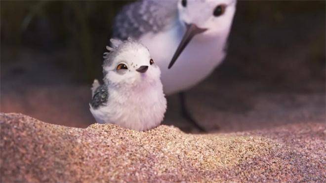 皮克斯经典短片《暴力云与送子鹤》每一帧都绝美，不容错过的动画盛宴！