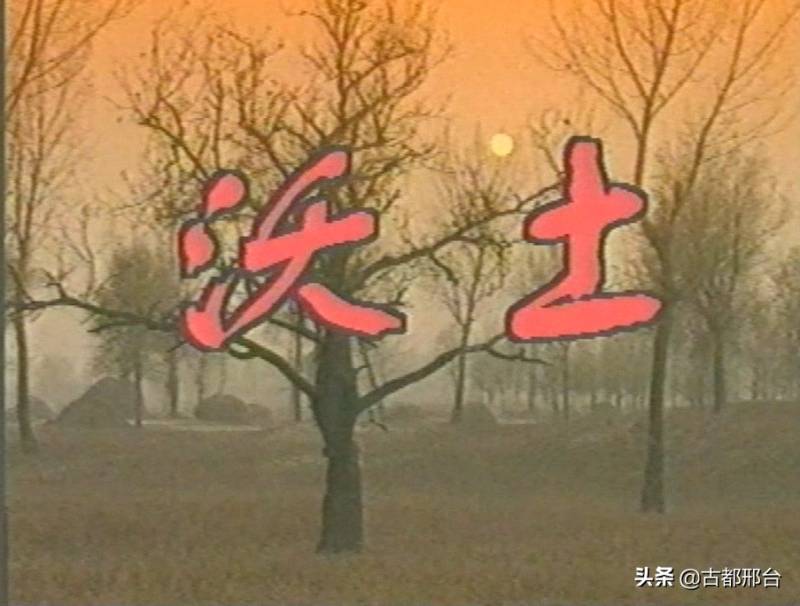 风华正茂电视剧，《青春绒光》——2019年杭州市力作，展现围巾企业的梦想之路