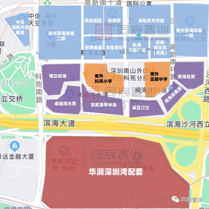 深圳湾南外高新，科技园南顶级学区攻略