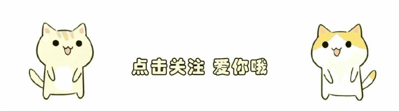 貴州折耳根奔赴哈爾濱，茅台掌門人緊張關注，網友，期待新格侷