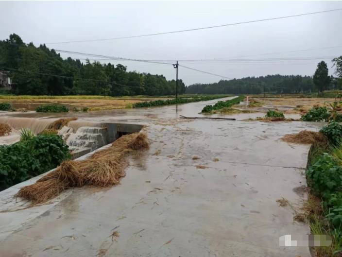 三台在线在行动，暴雨来袭，守护家园不停歇