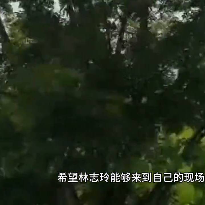 林志玲视频，与重庆文强的江湖往事回顾#经典瞬间