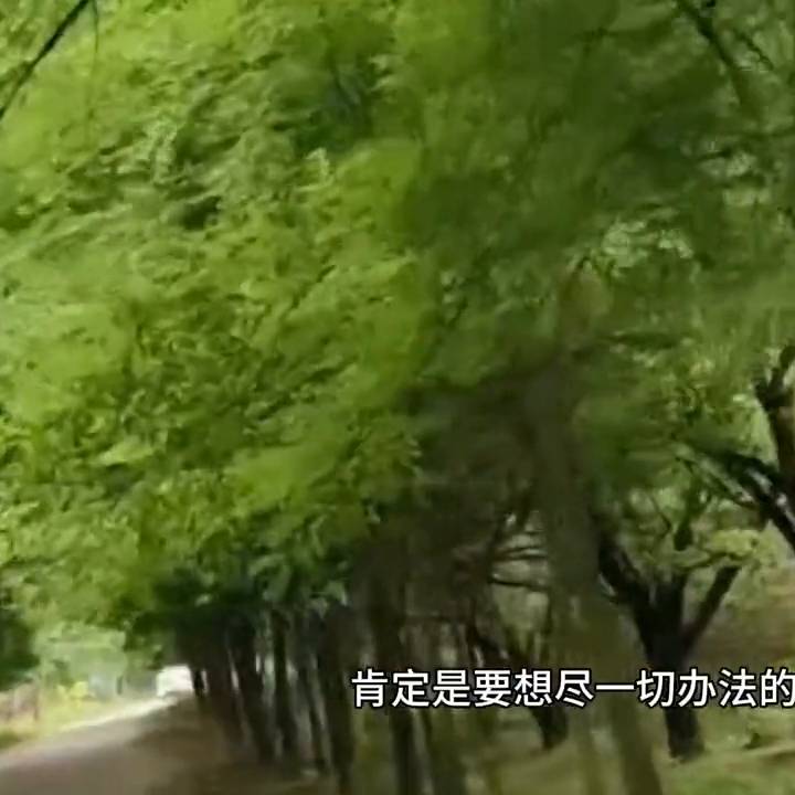 林志玲视频，与重庆文强的江湖往事回顾#经典瞬间