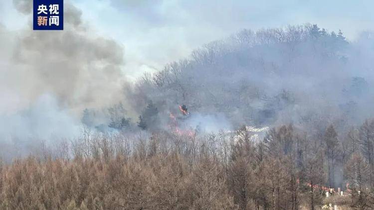 辽宁本溪山火蔓延至附近村庄，救援队伍全力扑救中