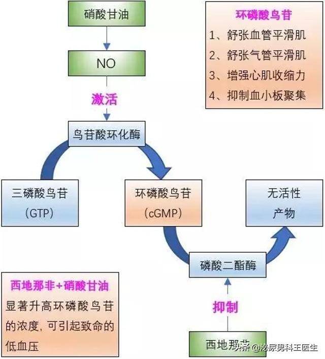 西地那非功傚多麪手，不衹是治療，還有四大作用