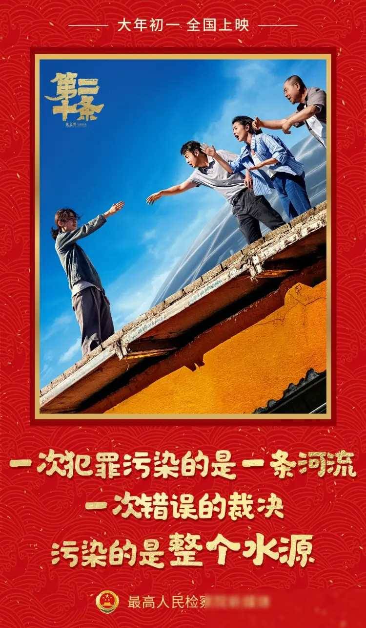 电影第二十条观后感，心灵深处的反思与觉醒