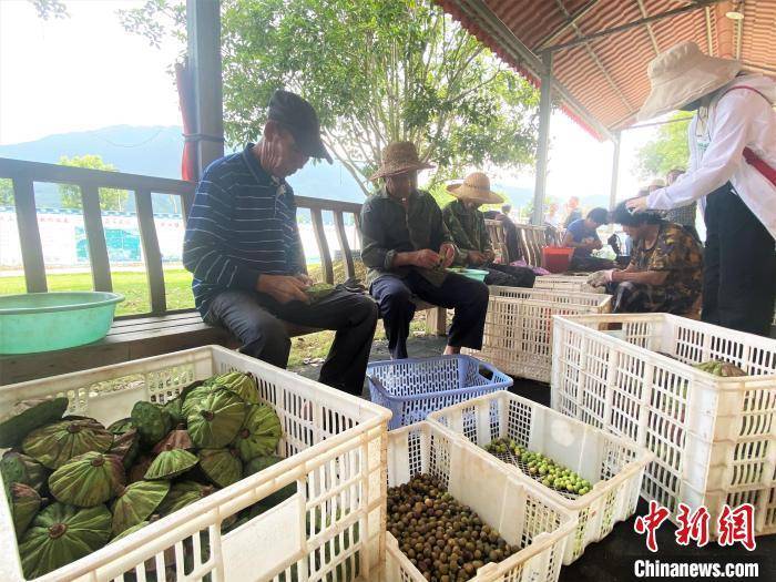 時代楷模孫麗美，堅守鄕村振興前沿的巾幗英雄