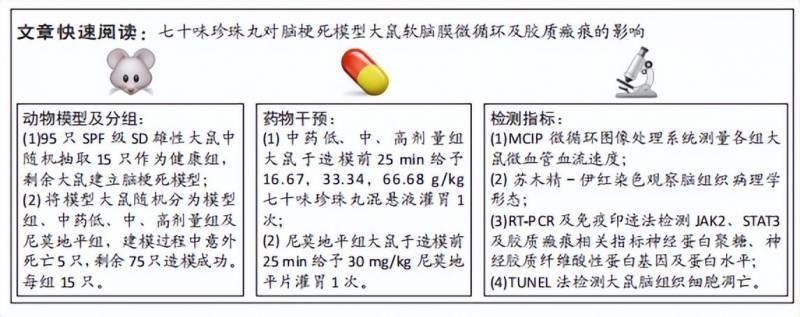 七十味珍珠丸对脑梗死大鼠微循环与胶质瘢痕影响