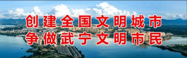 长江经济带重要节点城市网球论坛在我县顺利召开