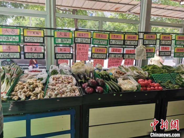 天津上千种蔬菜待采摘，本地新鲜质优供应充足