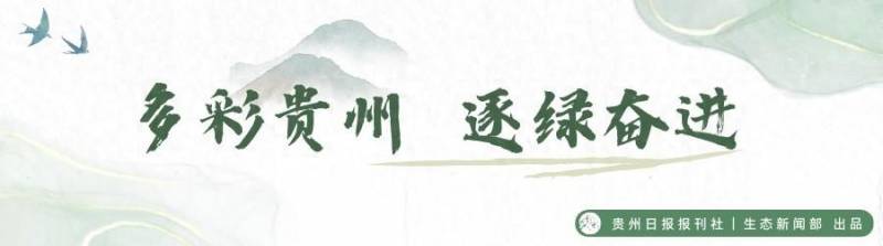 贵州林业的微博｜版面速览，4月18日《生态》新闻聚焦