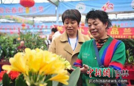 第十八届中国长春君子兰节今日启幕，绿园荟萃四海兰友共赏