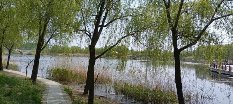 河童子，齊魯風物志中的漷河遺夢