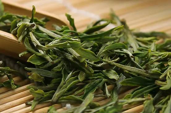 冲泡绿茶教程，3种正确泡法，轻松泡出茶香