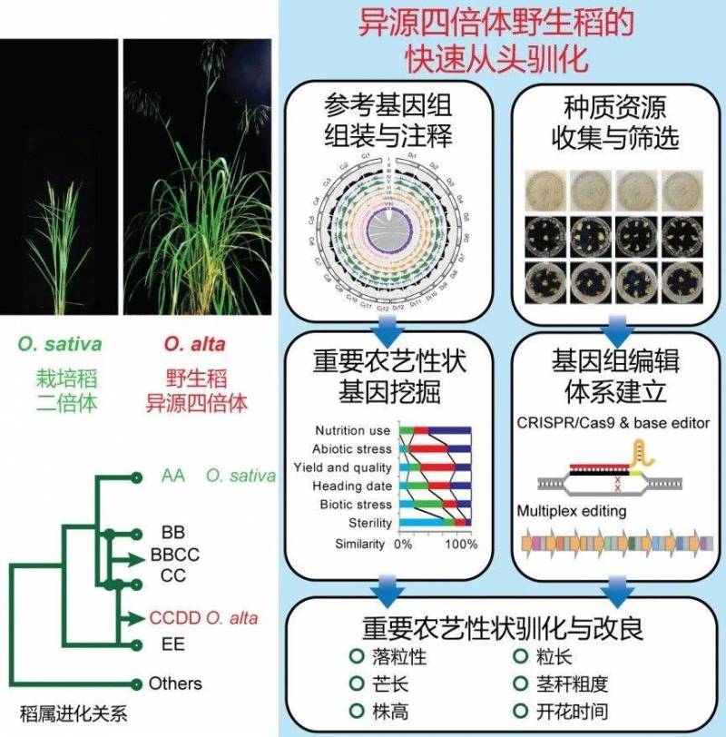 中国科技论文在线微博，燃起来了！2021年科研成就闪耀，网友，激动，立马充电去！