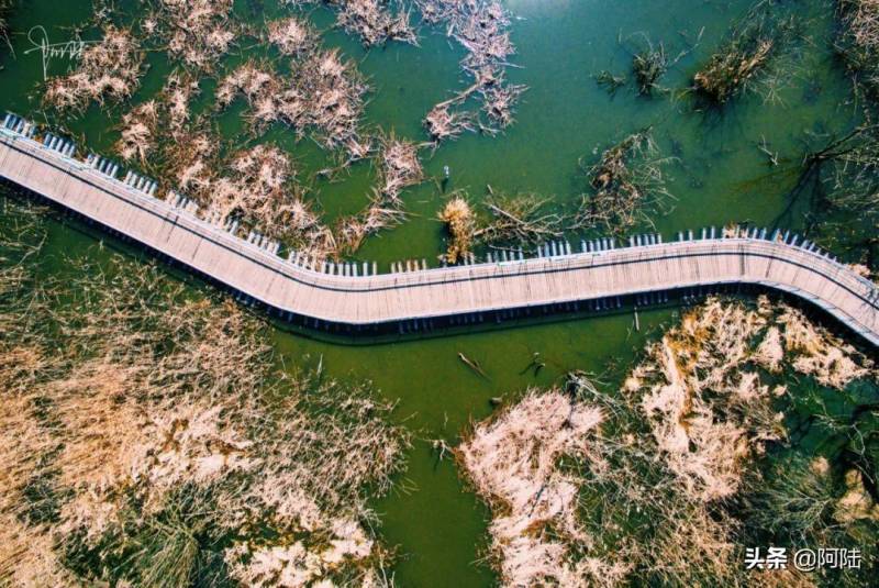 江洋畈生态公园，西湖淤泥孕育的静谧美景