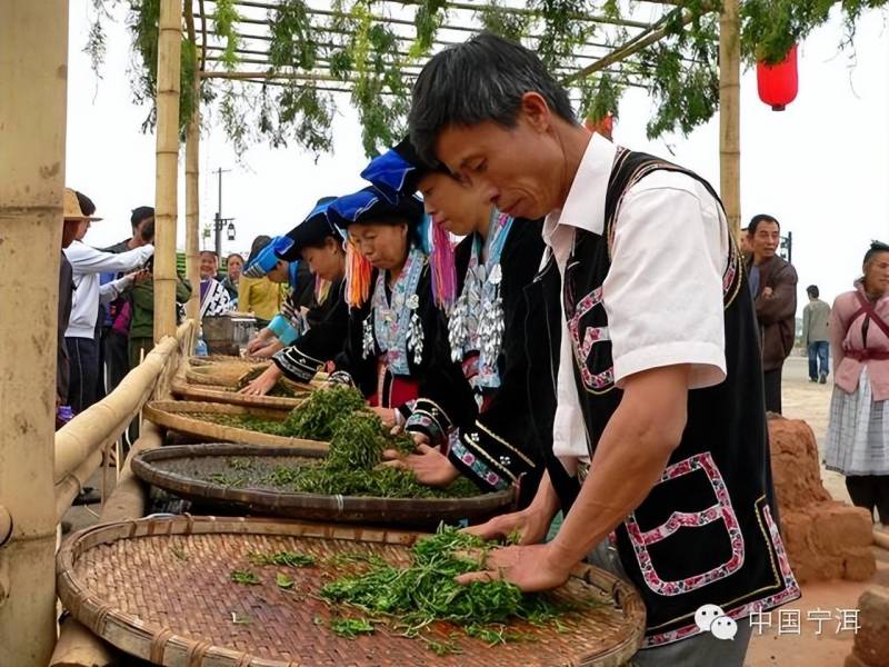 非遗大师亲授，挑选宁洱上等普洱贡茶秘诀