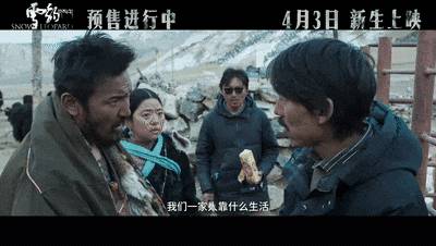 万玛才旦导演剧情片《雪豹》今日公映，大奖之作能否破票房迷局？