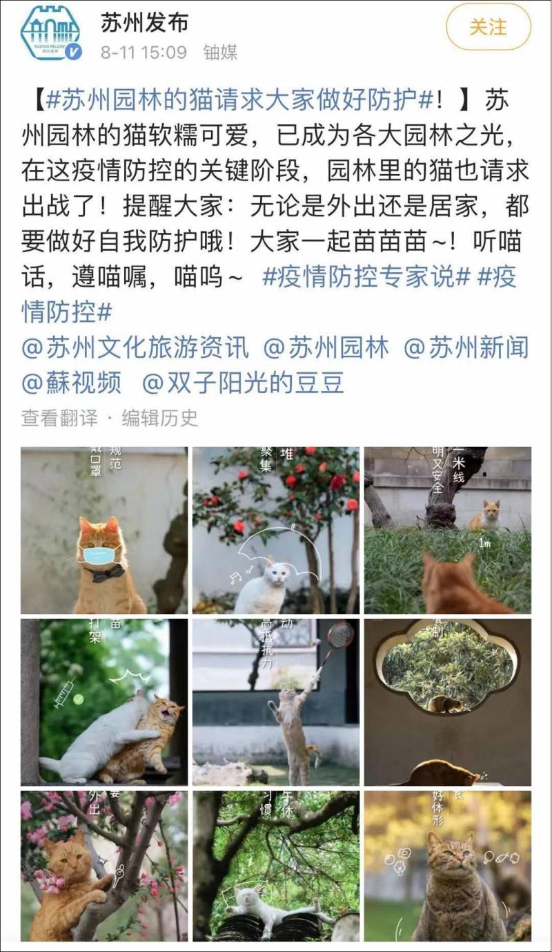 苏州发布微博，古城园林猫咪防疫，网友点赞萌化心田。