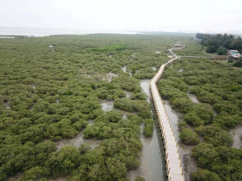 雷州丨精选吃喝住宿攻略，享受地道风情