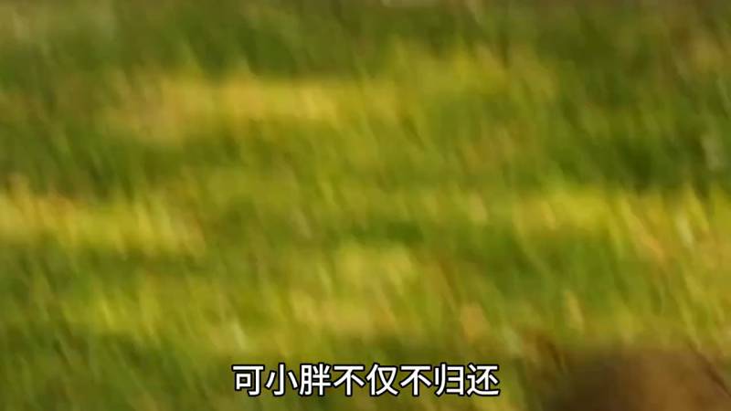 家园防线丨高清中字完整版，杰森斯坦森硬汉动作秀